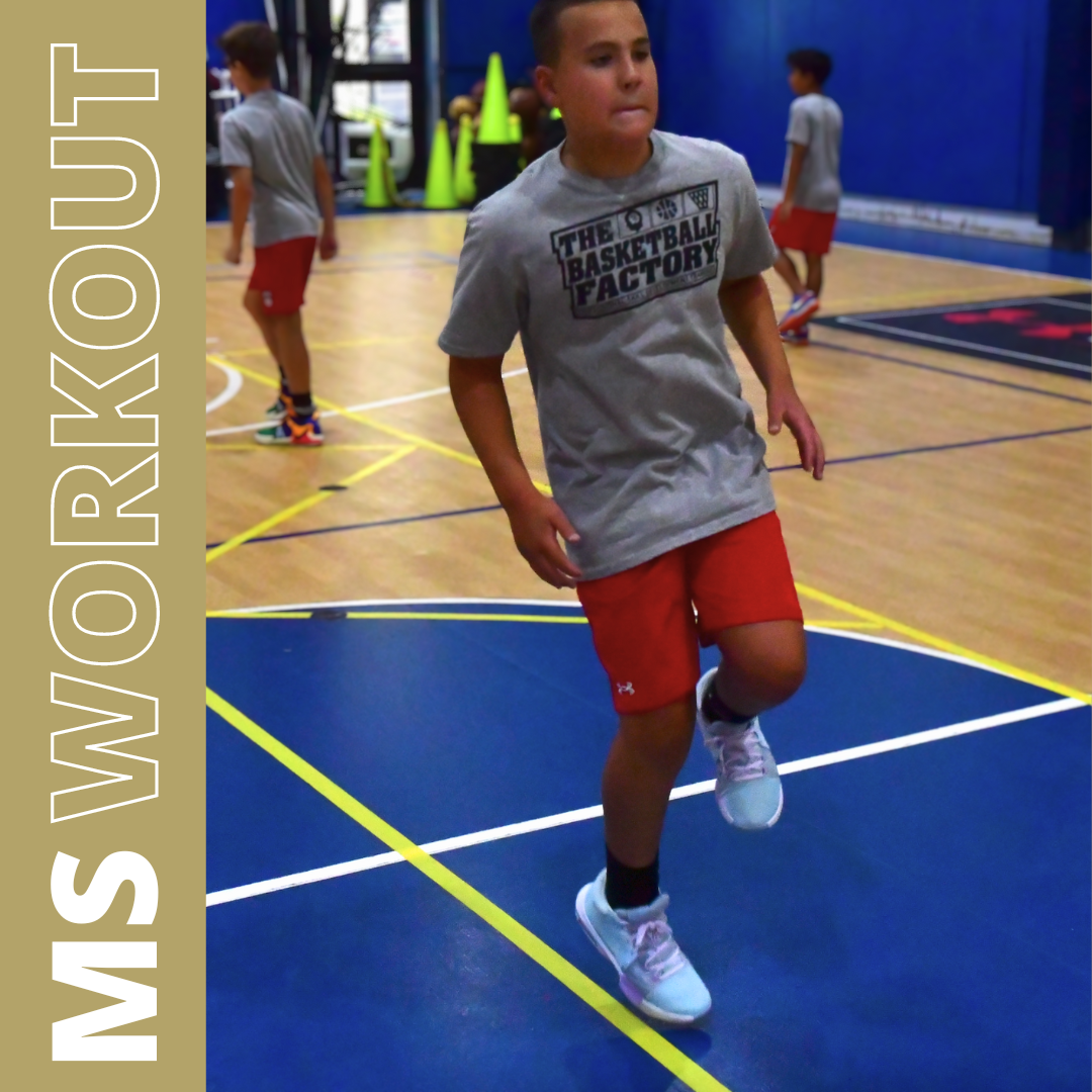 Youth Skills & Development Training Camp - Basketball Training Sparta NJ