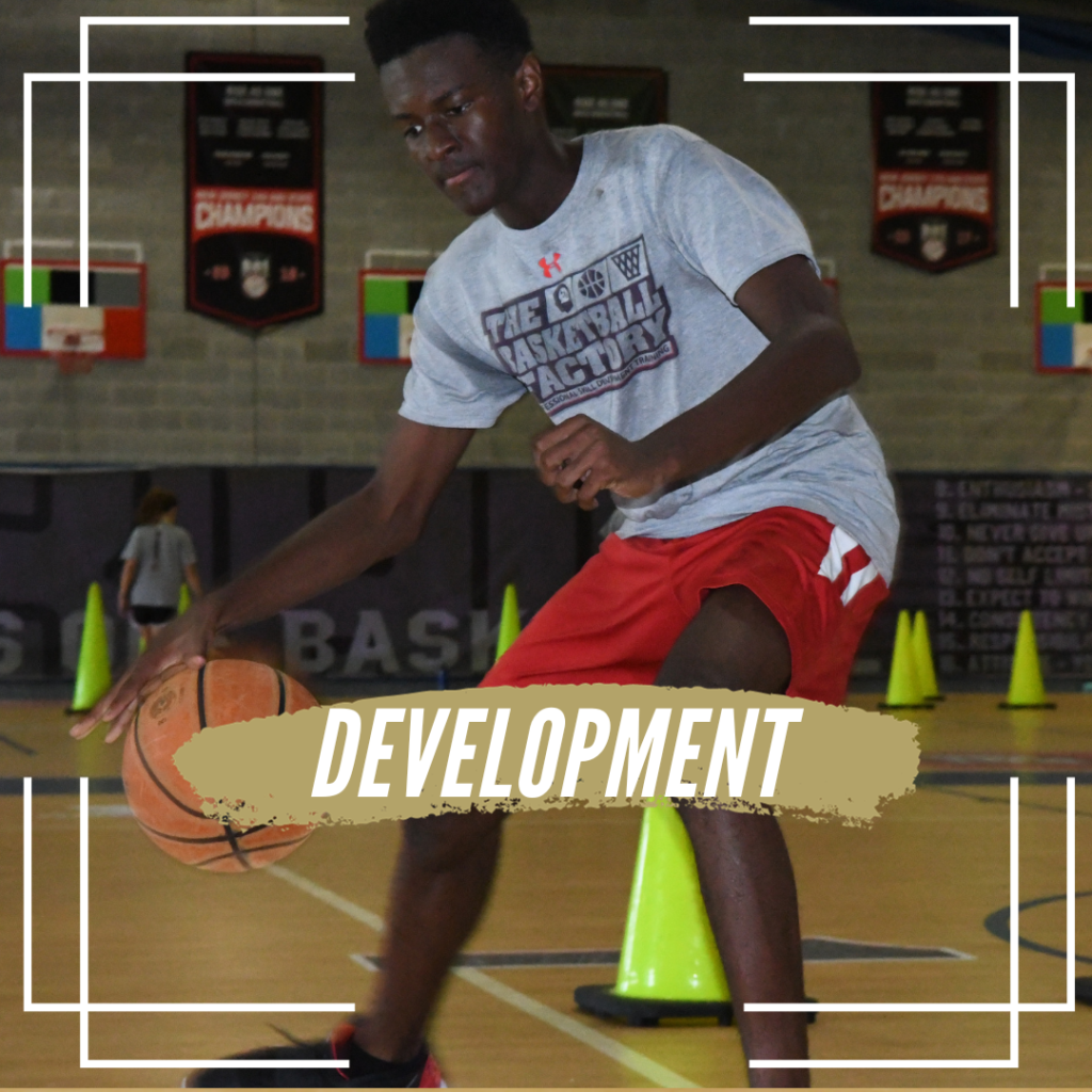 Basketball Skill Development with TBF Professional Trainers