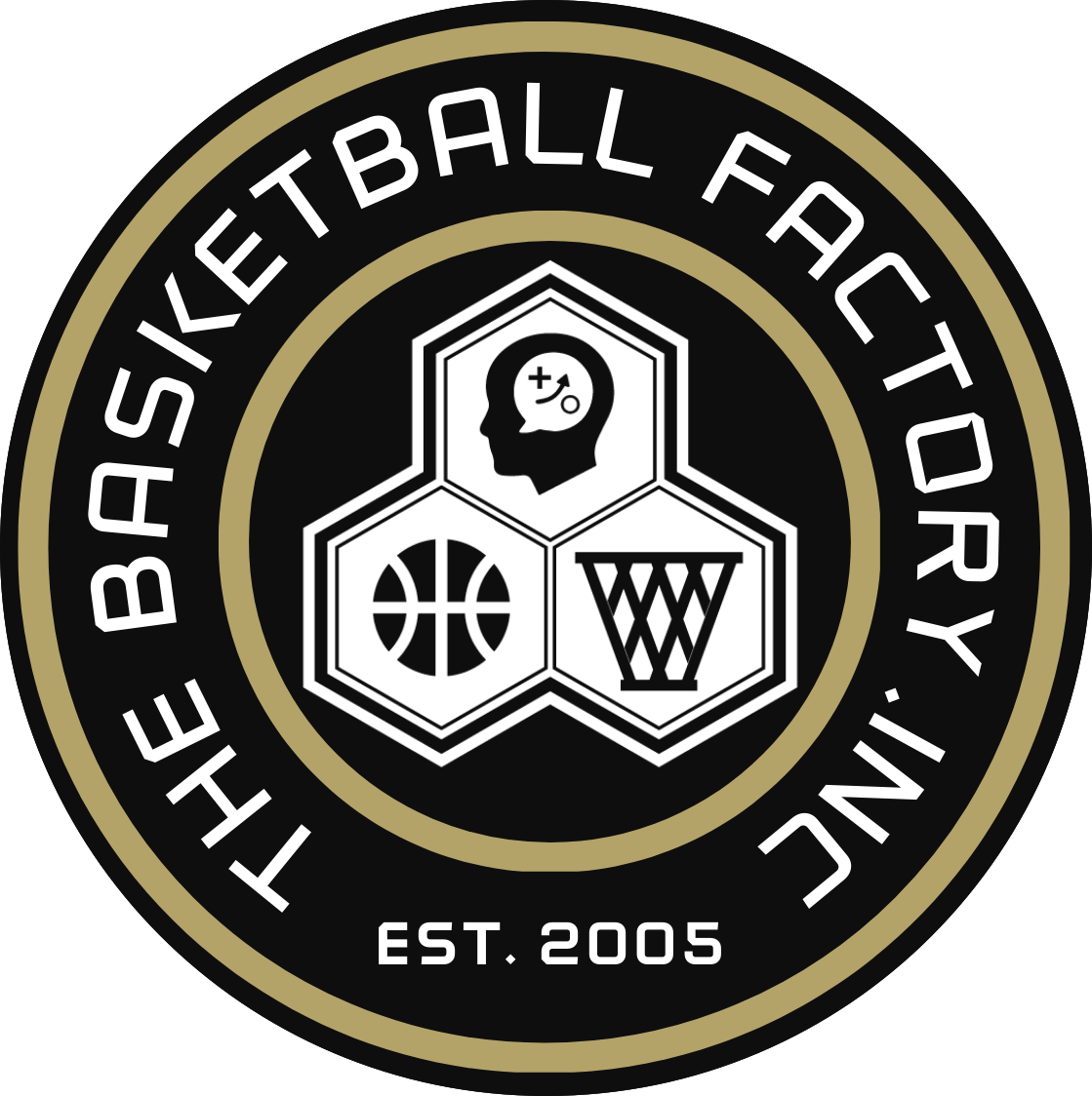 Elite Basketball Training in Sparta, NJ | The Basketball Factory Inc